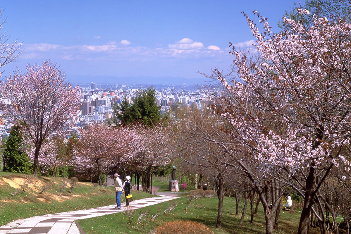 🏞️ 아침해 산 공원(아사히야마 코엔) 이미지 10